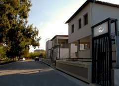kiwi-external06.jpg