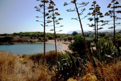 kiw-location3.jpg